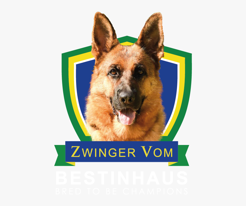 Zwinger Vom Bestinhaus, HD Png Download, Free Download