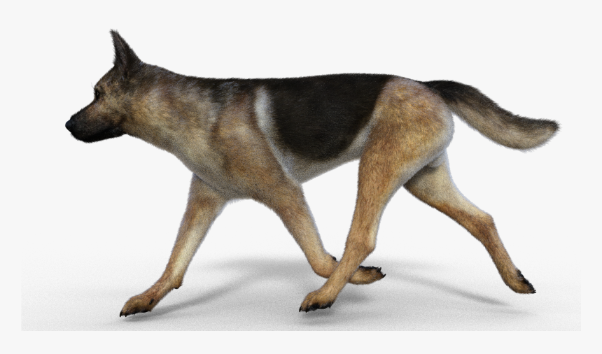 German Shepherd Png, Transparent Png, Free Download