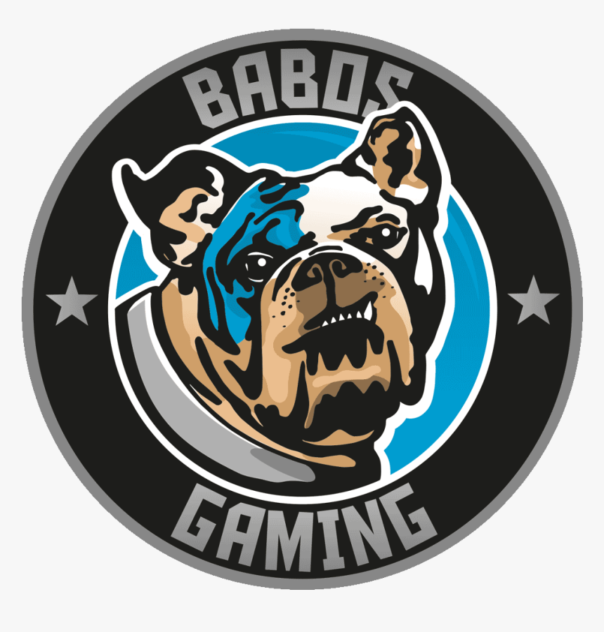 Babos Cs - Go Team - Babos Gaming Logo, HD Png Download - kindpng