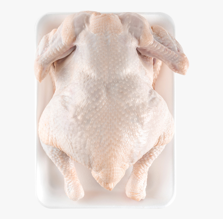 Chicken, HD Png Download, Free Download