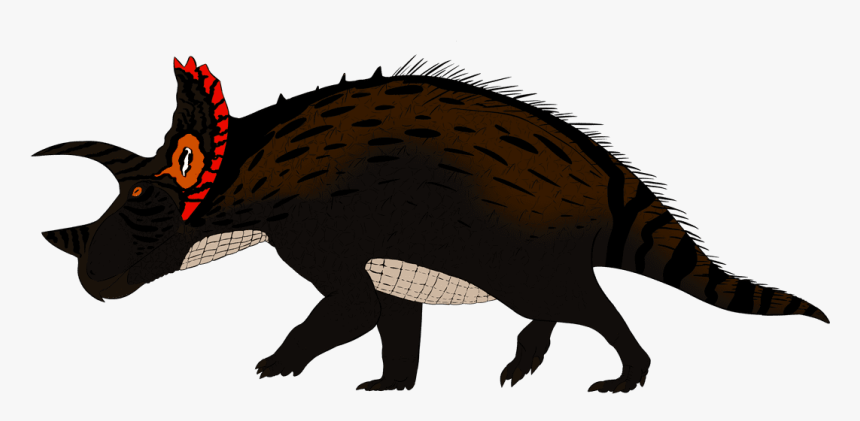 Picture - Triceratops Porosus, HD Png Download - kindpng