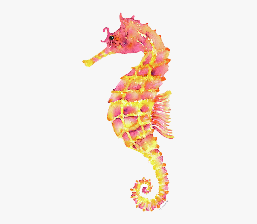 Watercolor Sea Horse, HD Png Download, Free Download