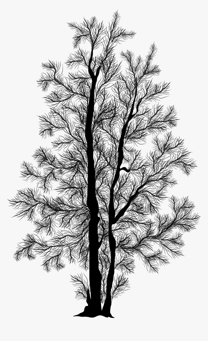 Thumb Image - Silhouette Birch Tree Icon, HD Png Download, Free Download