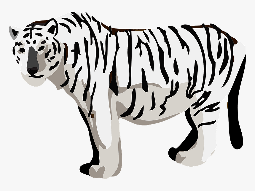 White Tiger Animal Clipart - Siberian Tiger, HD Png Download, Free Download