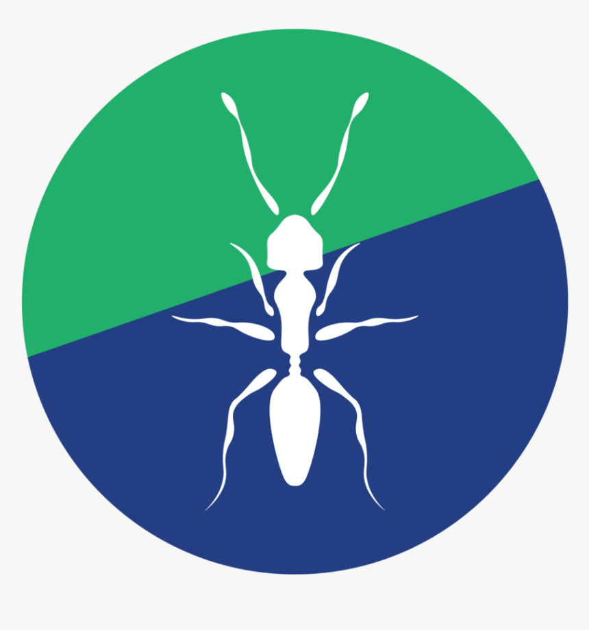 Ant - Illustration, HD Png Download, Free Download