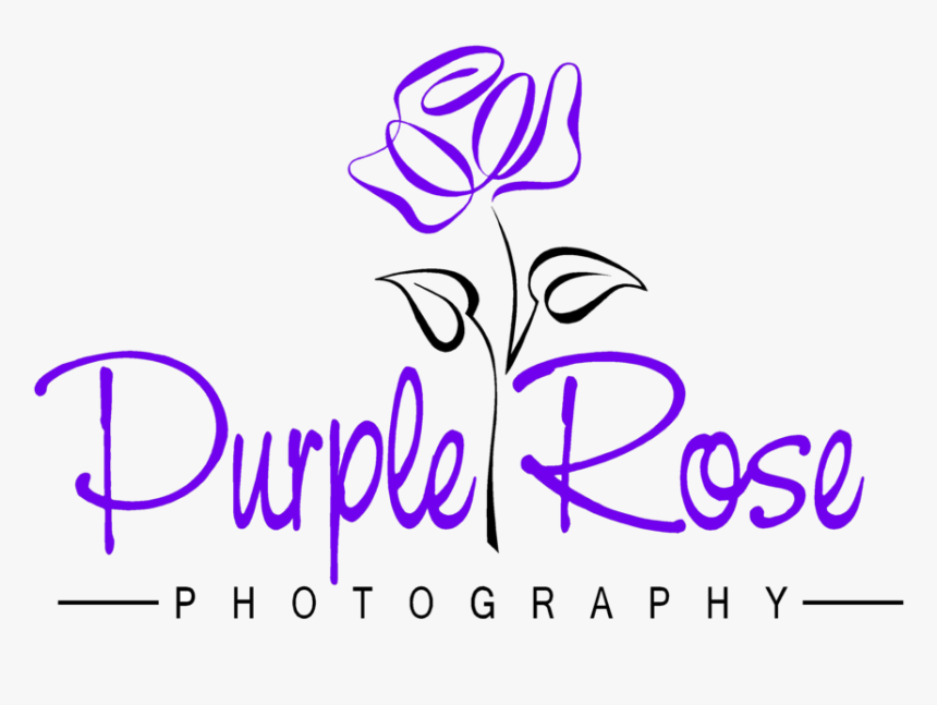 Purple Rose Photography 2purpleblk - Rose Clip Art, HD Png Download, Free Download