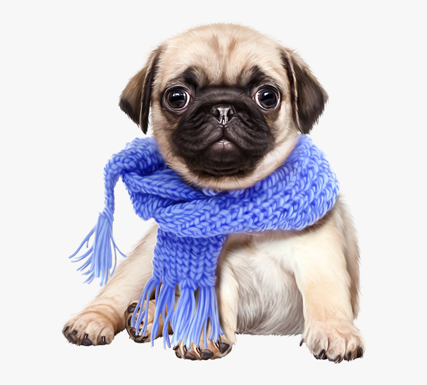 Png Liveinternet - Pug Png, Transparent Png, Free Download