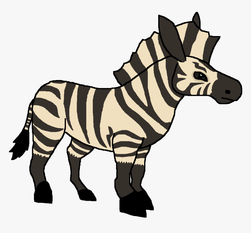 Zebra, HD Png Download, Free Download