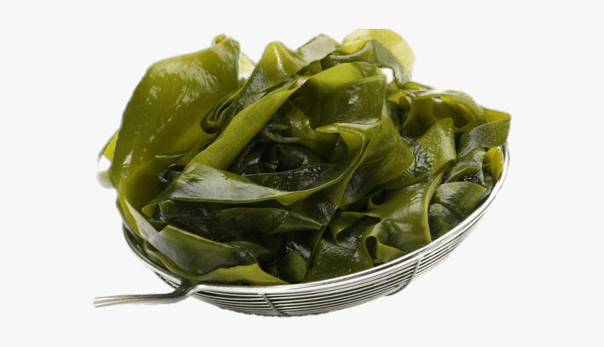 Fresh Seaweed Clip Arts - Влияние Йода На Организм, HD Png Download, Free Download