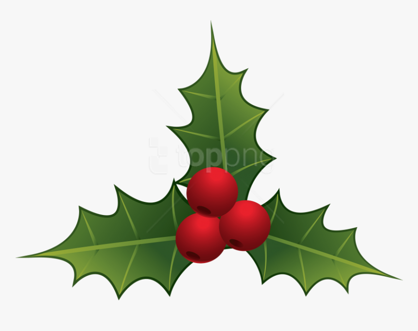 Download Mistletoe Clipart Png Photo Toppng Quirky - Transparent Background Mistletoe Clipart, Png Download, Free Download