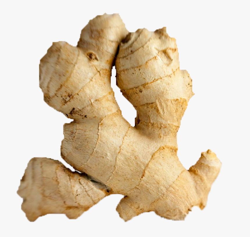 Ginger Png Image - Ginger Png, Transparent Png, Free Download