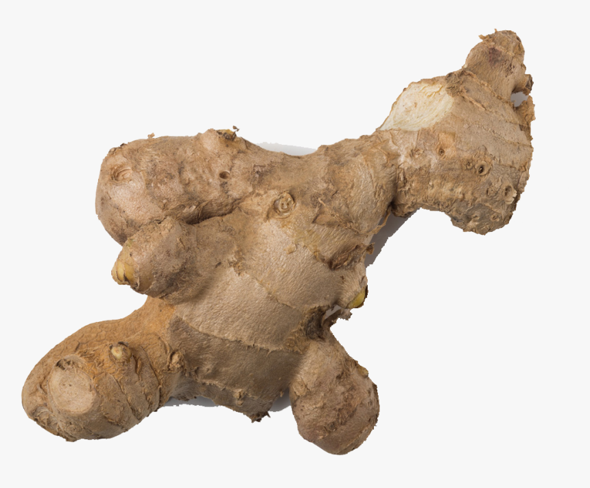 Ginger Transparent Background - Greater Galangal, HD Png Download, Free Download