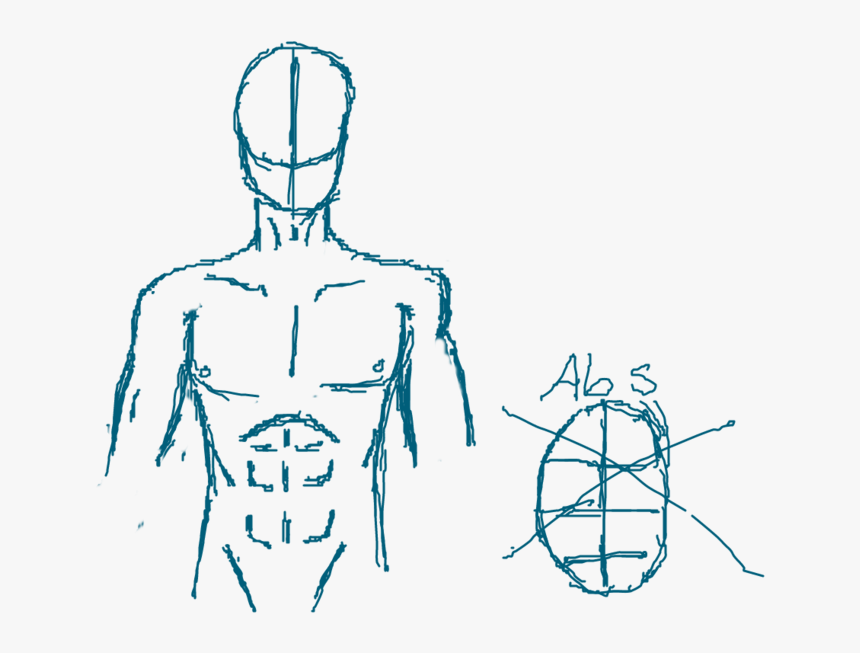 Abs Vector Sketch - Abs Transparent Background Drawing, HD Png Download, Free Download