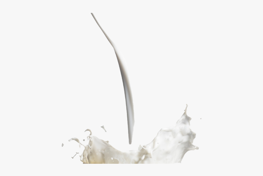 Milk Splash Png Hd Image - Milk, Transparent Png, Free Download