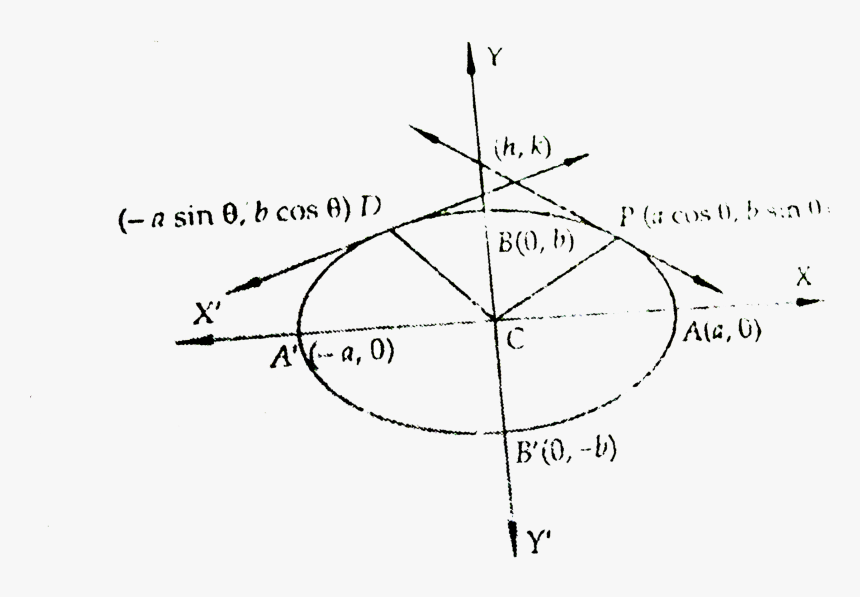 Diagram, HD Png Download, Free Download