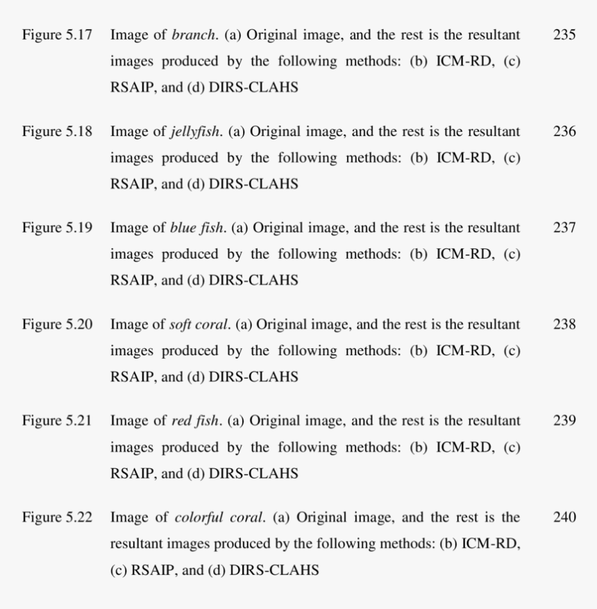 3t3 L1 Primer Sequence Glut2, HD Png Download, Free Download