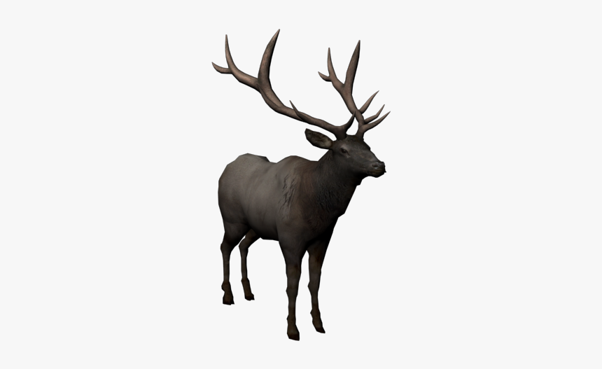 Moose Png Picture - Barren Ground Caribou, Transparent Png, Free Download