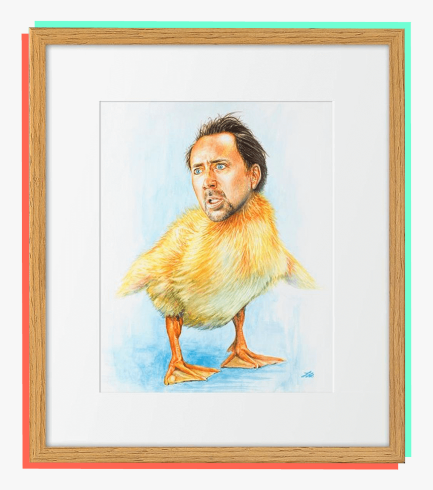 Nicholas Cage As A Duck, HD Png Download, Free Download