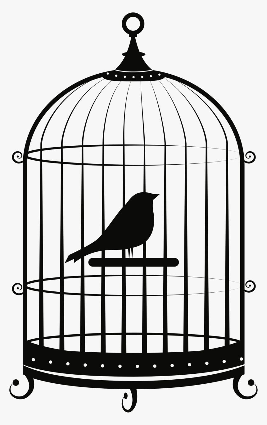 Cage Png Image Clipart , Png Download, Transparent Png, Free Download