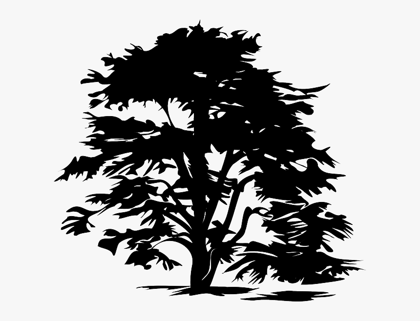 Black And White Tree Clip Art Png, Transparent Png, Free Download