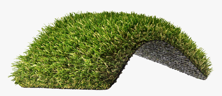 Hedge , Png Download - Lawn, Transparent Png, Free Download