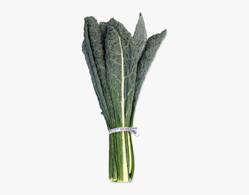 Tuscan Kale Bunch, HD Png Download, Free Download