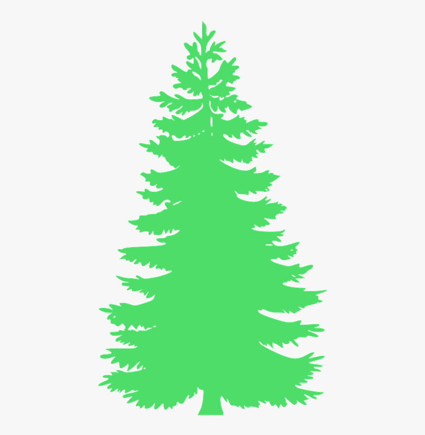 Pine Tree Vector Black, HD Png Download, Free Download