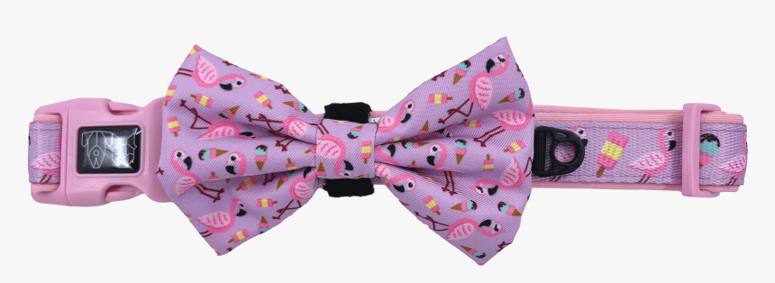 Dog Collar & Bow Tie - Paisley, HD Png Download, Free Download