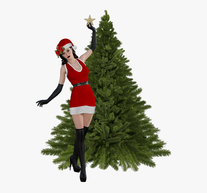 Navidad, Femenina, Gorro, Santa Claus, Adorno, Navideño - Lady Santa On The Roof, HD Png Download, Free Download