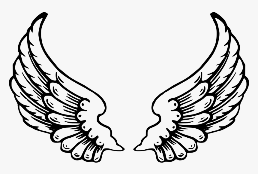 Angel Wings, Wings, Feathers - Wing Coloring Page, HD Png Download, Free Download