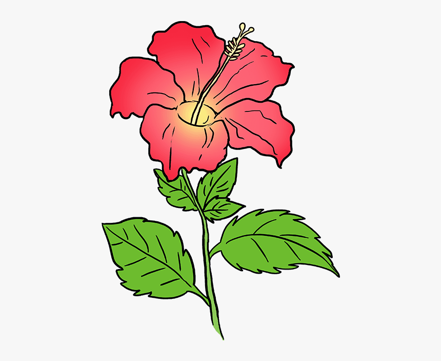 Hawaiian Flower Png - Drawing, Transparent Png, Free Download