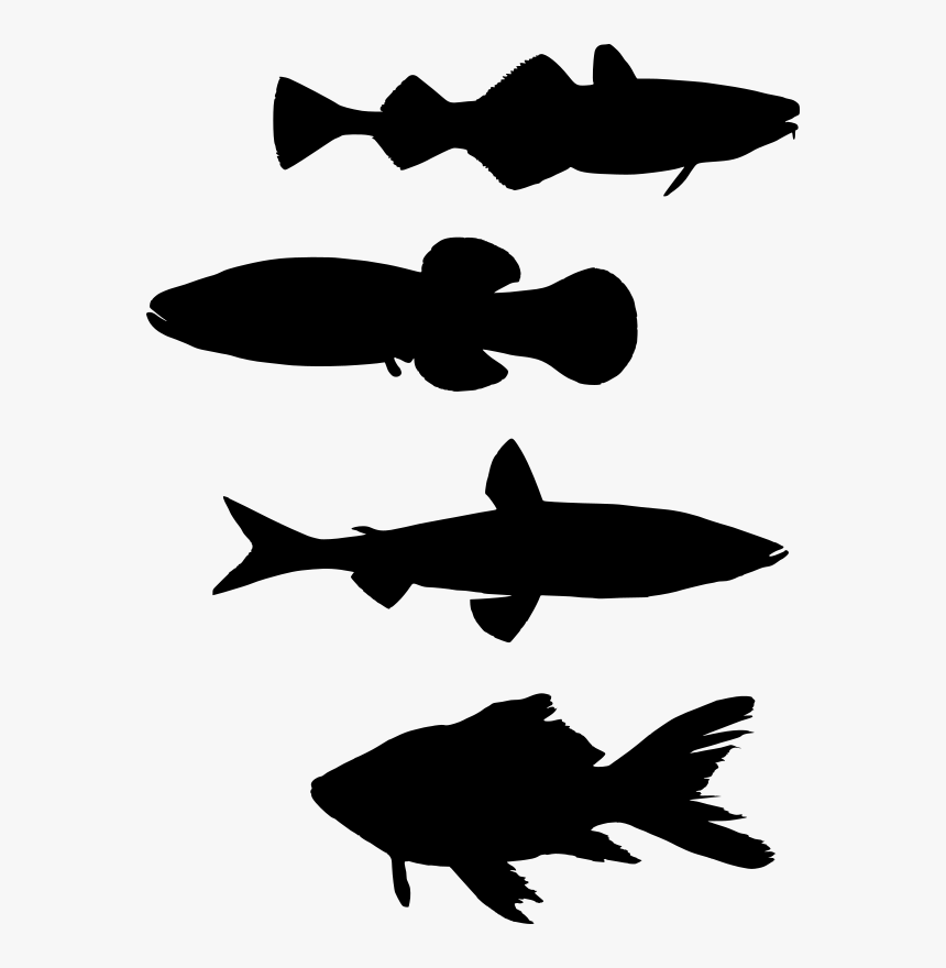 School Of Fish Transparent Clipart, HD Png Download, Free Download