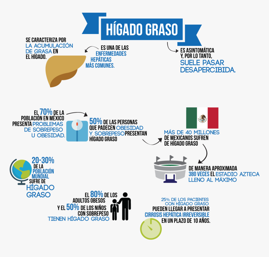 Factores De Riesgo Higado Graso, HD Png Download, Free Download