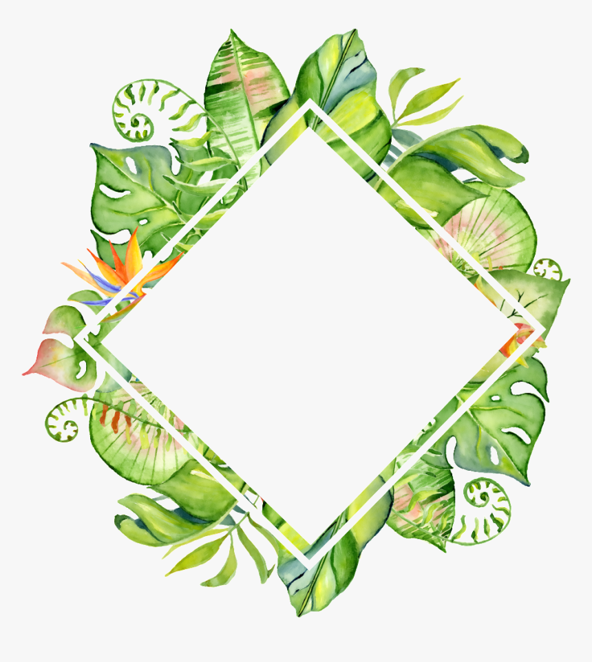 Download Hand Painted Rhomboid - Tropical Leaf Frame Png, Transparent Png, Free Download