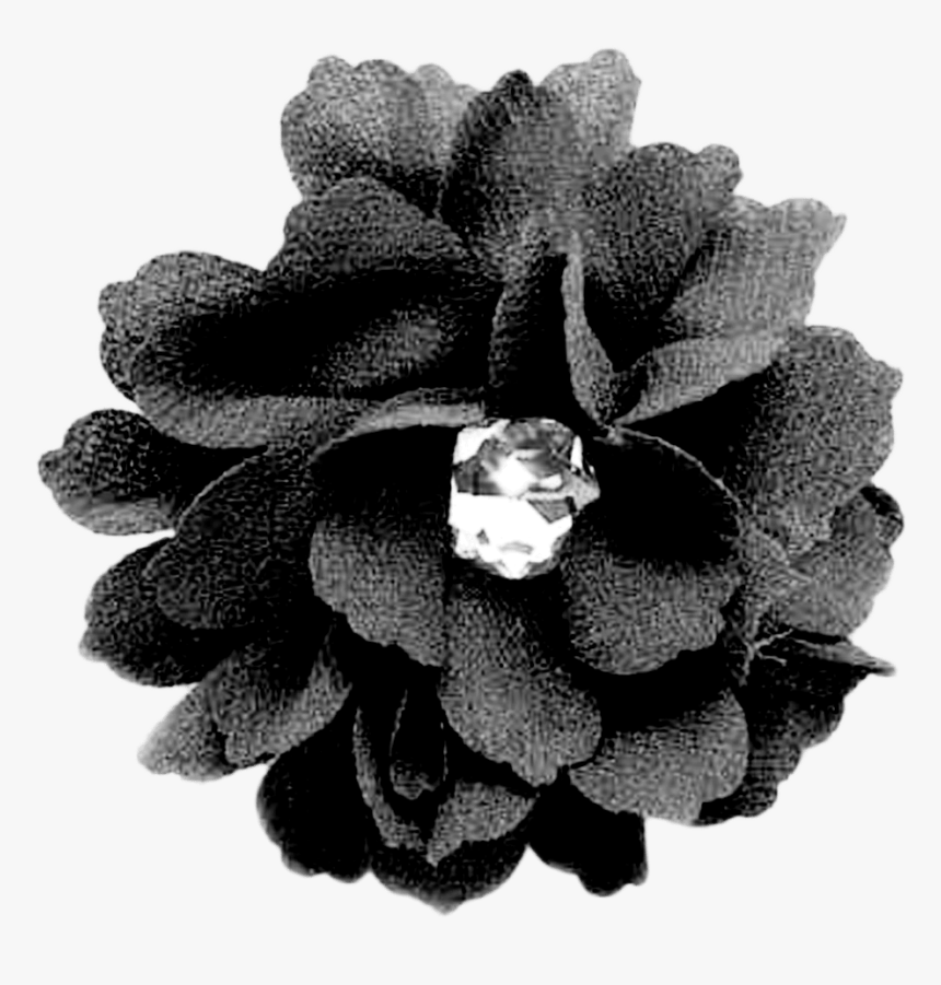 Black Flower Png, Transparent Png, Free Download