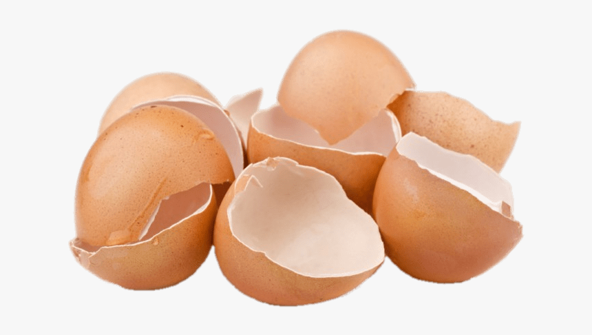 Cracked Eggshells - Egg Shells, HD Png Download, Free Download