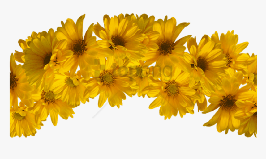 Free Png Yellow Flower Crown Transparent Png Image - Yellow Flower Crown Transparent Background, Png Download, Free Download