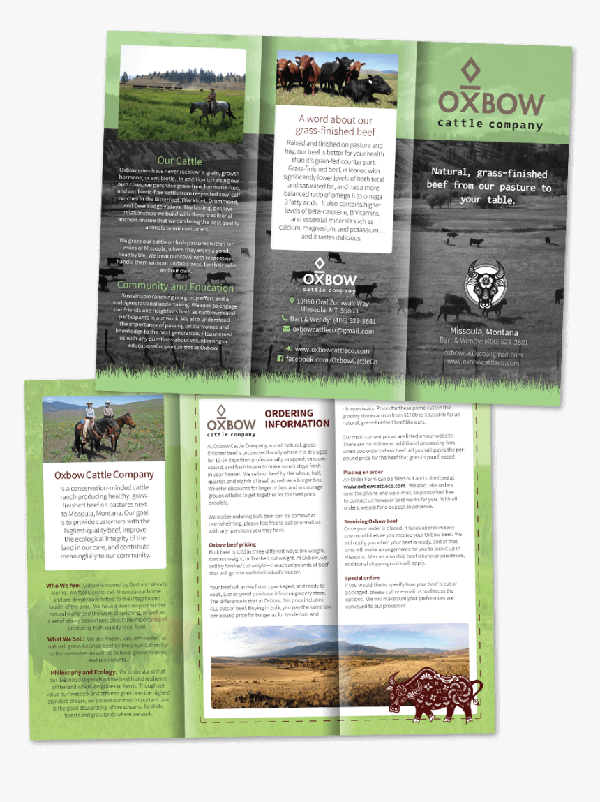 Oxbow Cattle Company Trifold Brochure - Cattle Tri Fold Brochures, HD Png Download, Free Download