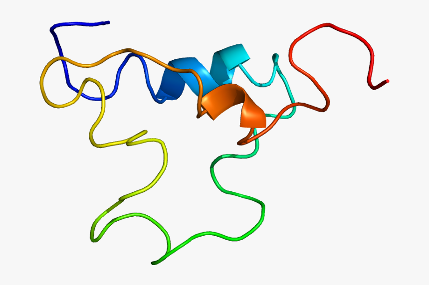 Protein Igf1 Pdb 1bqt - Igf 1, HD Png Download, Free Download