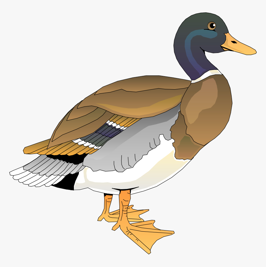 Walking Duck 2 Svg Clip Arts - Free Clipart Duck, HD Png Download, Free Download