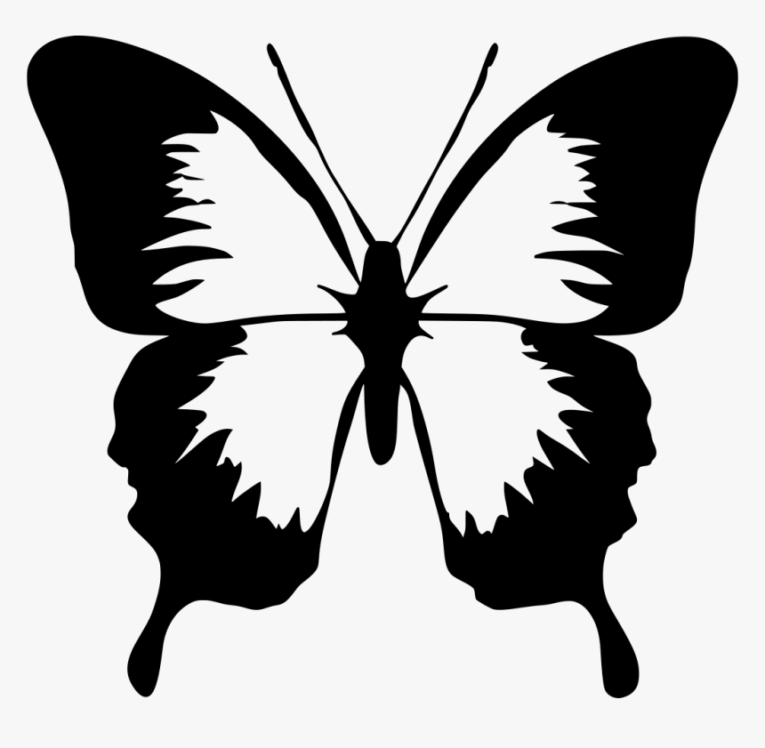 Clip Art Stenciling And - Butterfly Clip Art, HD Png Download, Free Download