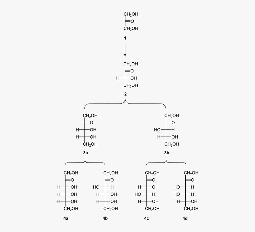 Family Of D Ketoses, HD Png Download, Free Download