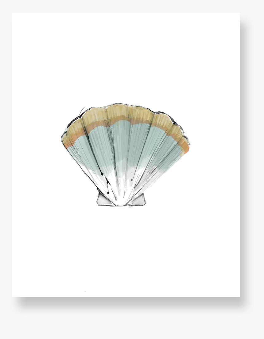 Shell Png, Transparent Png, Free Download