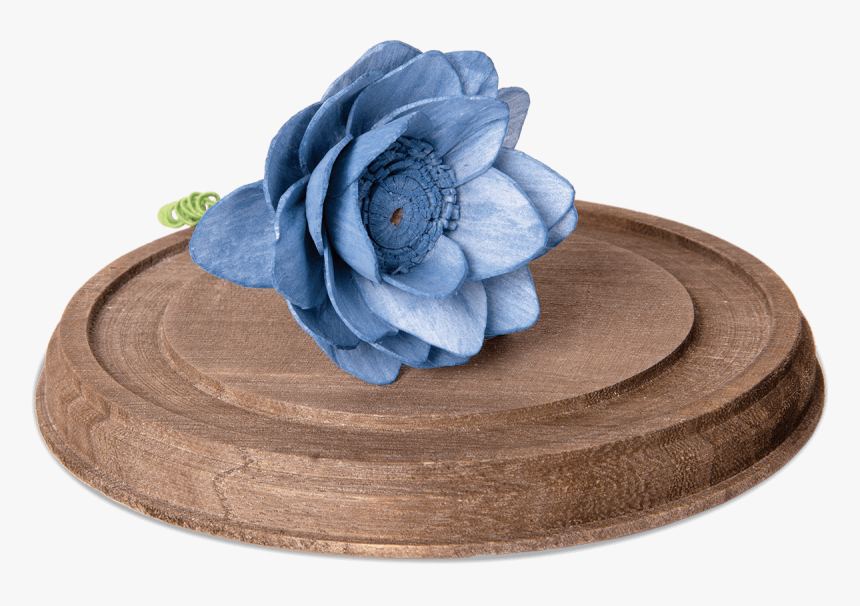 Forever In Bloom - Blue Rose, HD Png Download, Free Download