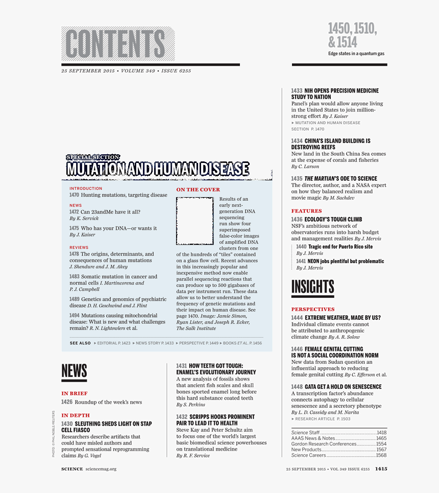 Document, HD Png Download, Free Download