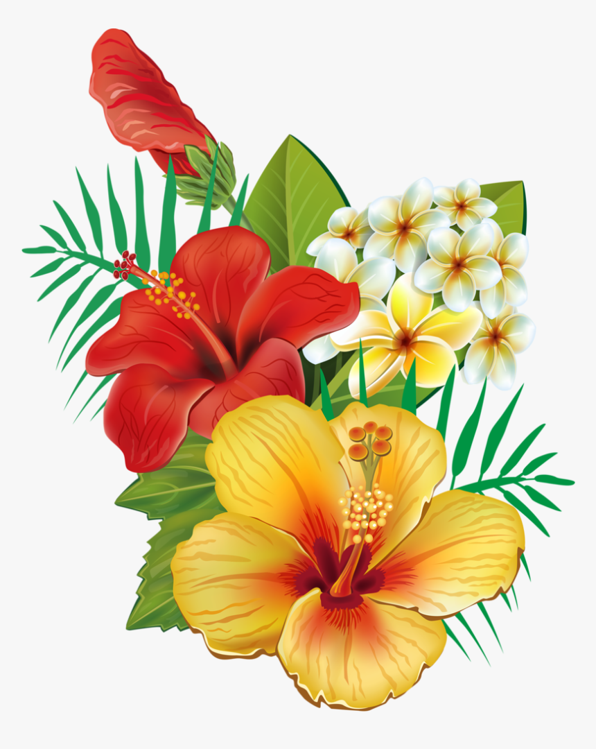 Tropical Flower Png, Transparent Png, Free Download