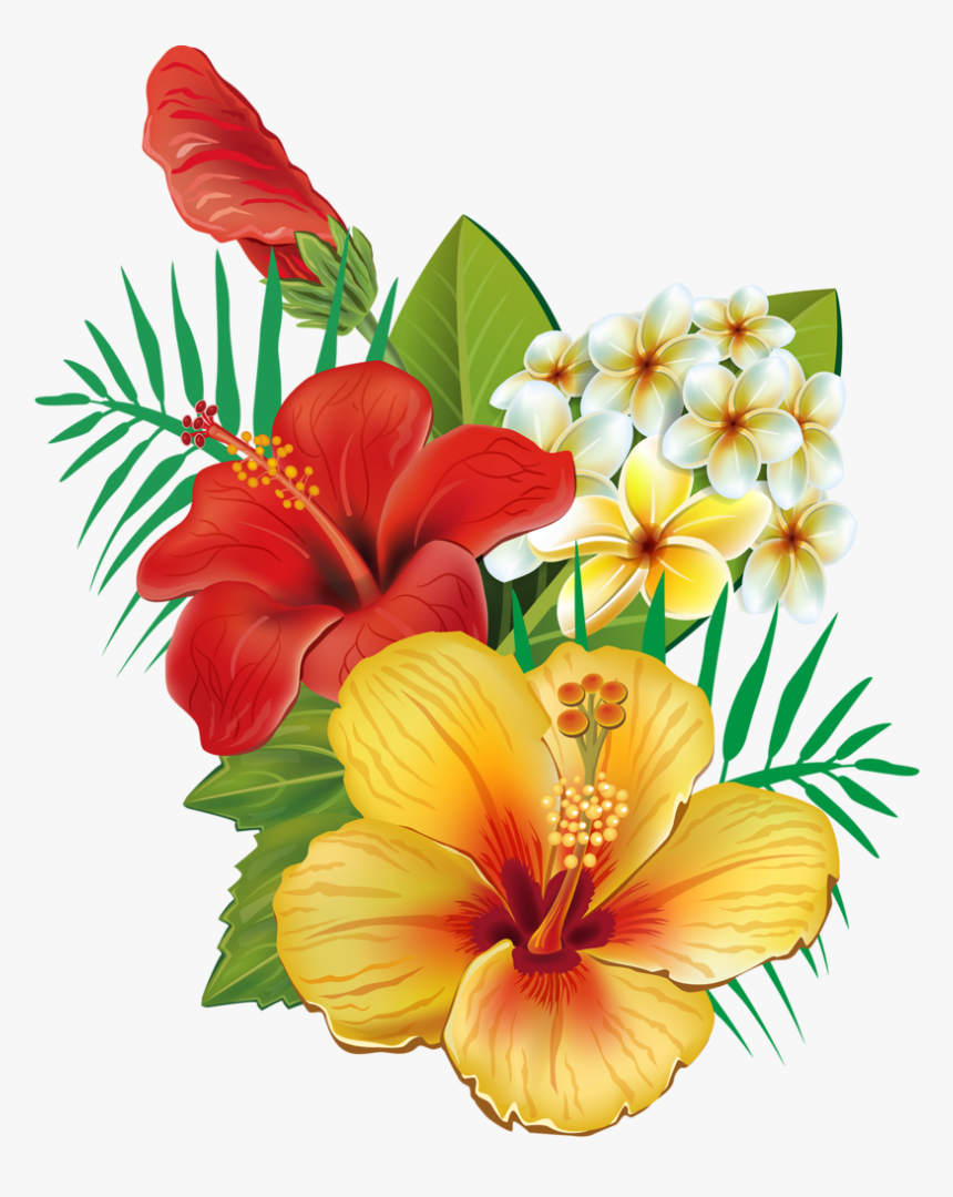 Tropical Flower Png, Transparent Png - kindpng