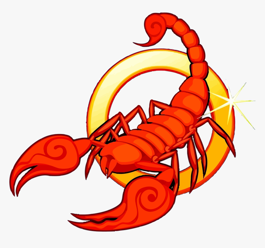 Zodiac Astrological Sign Scorpio Scorpion 10/23 - Scorpio Clipart, HD Png Download, Free Download