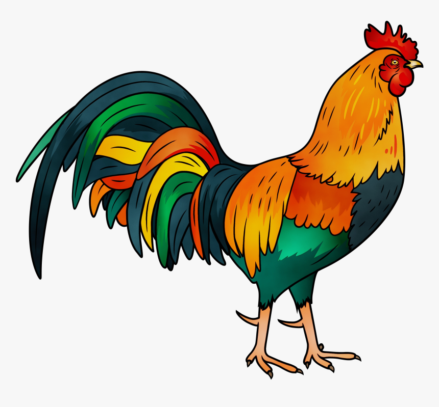 Animal Show Png - Transparent Rooster Png, Png Download - kindpng