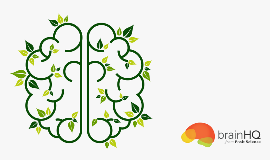 Brain Leaf Silhouette, HD Png Download, Free Download